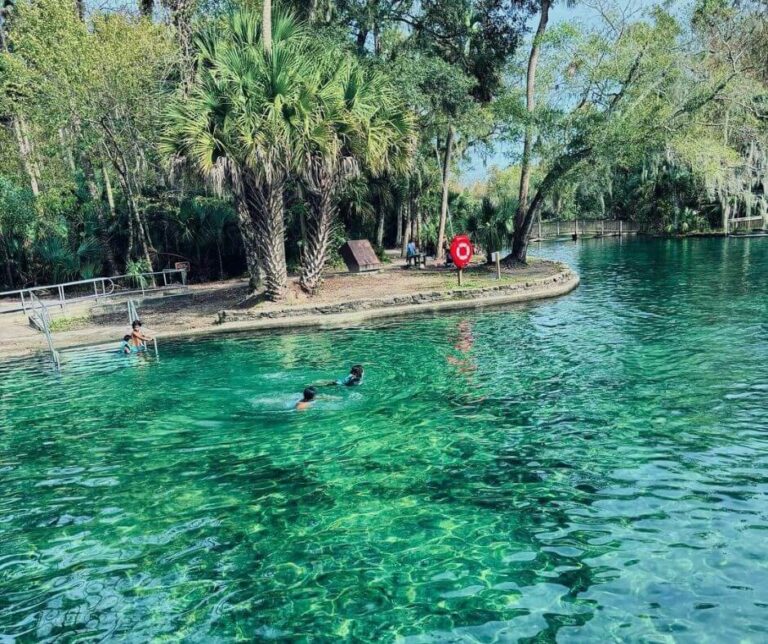 Discover the Natural Wonders of Wekiwa Springs State Park - Hidden Gems US