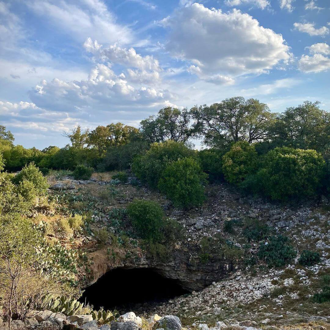 Experience the Wonder of Bracken Cave In Texas: The World’s Largest Bat ...